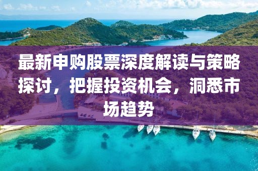 最新申购股票深度解读与策略探讨，把握投资机会，洞悉市场趋势