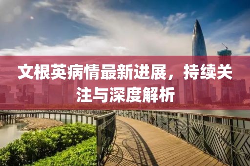 文根英病情最新进展，持续关注与深度解析