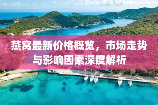 燕窝最新价格概览，市场走势与影响因素深度解析