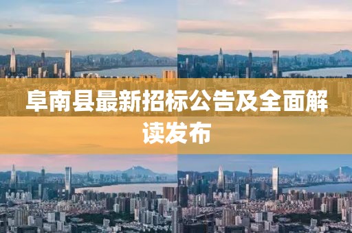 阜南县最新招标公告及全面解读发布