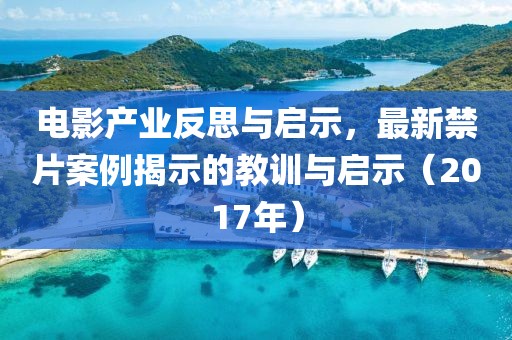 电影产业反思与启示，最新禁片案例揭示的教训与启示（2017年）