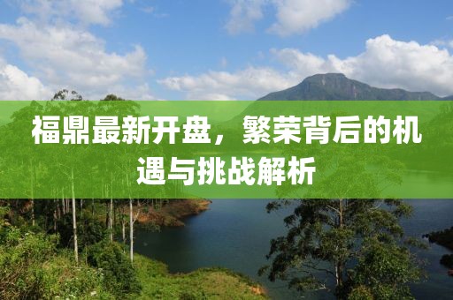 福鼎最新开盘，繁荣背后的机遇与挑战解析