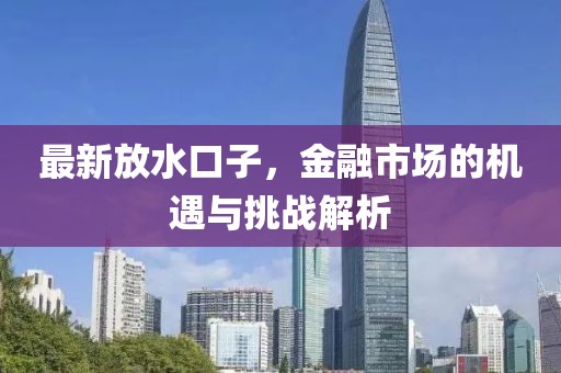 最新放水口子，金融市场的机遇与挑战解析