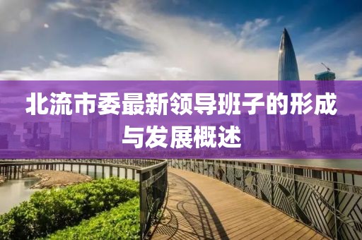 北流市委最新领导班子的形成与发展概述