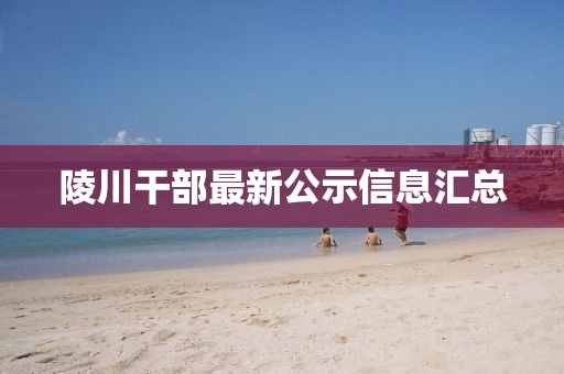 陵川干部最新公示信息汇总