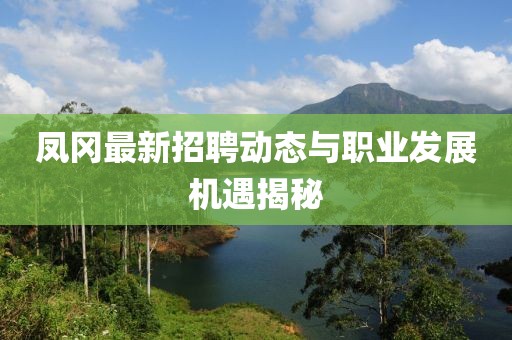 凤冈最新招聘动态与职业发展机遇揭秘