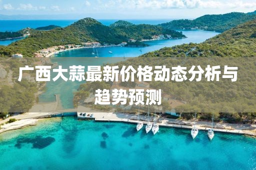 广西大蒜最新价格动态分析与趋势预测