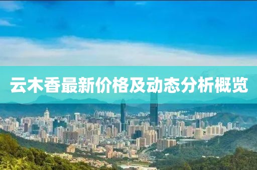 云木香最新价格及动态分析概览