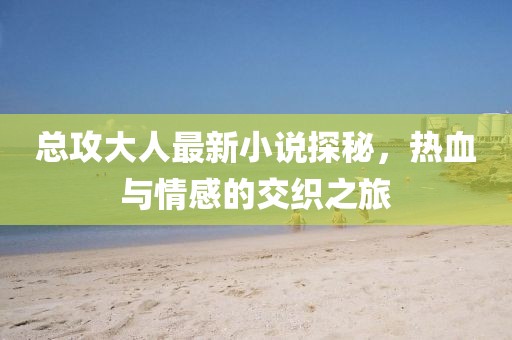 总攻大人最新小说探秘，热血与情感的交织之旅