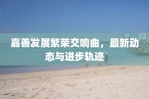 嘉善发展繁荣交响曲，最新动态与进步轨迹