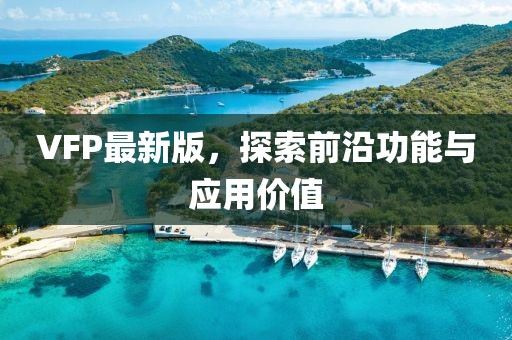 VFP最新版，探索前沿功能与应用价值