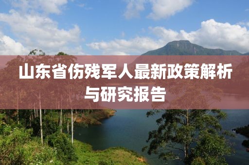 山东省伤残军人最新政策解析与研究报告