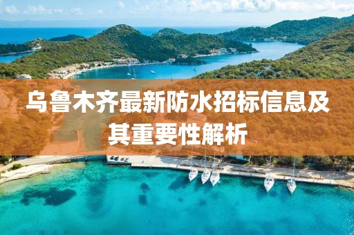 乌鲁木齐最新防水招标信息及其重要性解析
