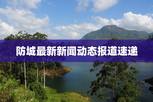 防城最新新闻动态报道速递
