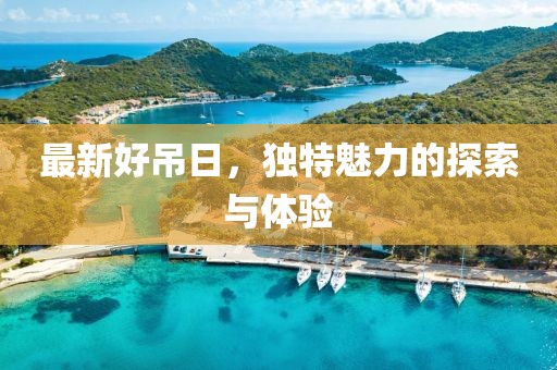 最新好吊日，独特魅力的探索与体验