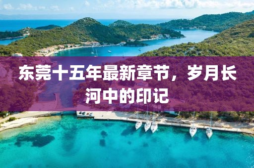 东莞十五年最新章节，岁月长河中的印记