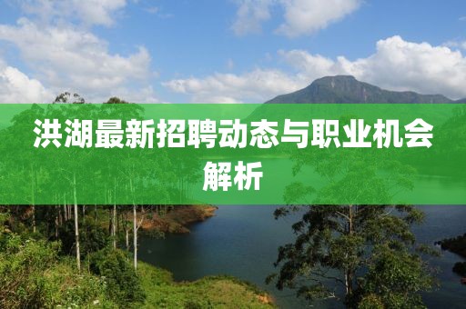 洪湖最新招聘动态与职业机会解析