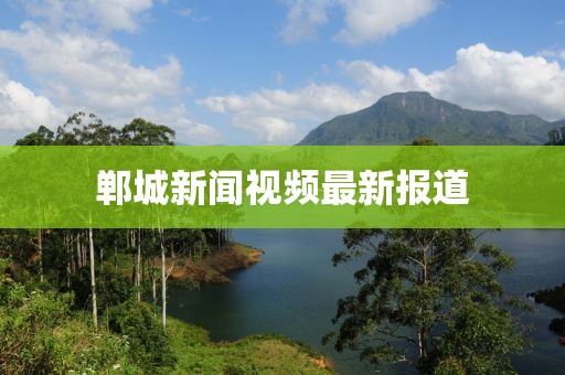 郸城新闻视频最新报道