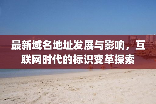 最新域名地址发展与影响，互联网时代的标识变革探索