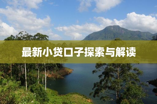最新小贷口子探索与解读