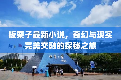 板栗子最新小说，奇幻与现实完美交融的探秘之旅