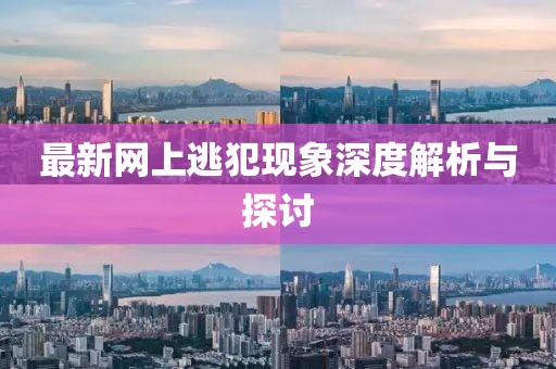 最新网上逃犯现象深度解析与探讨