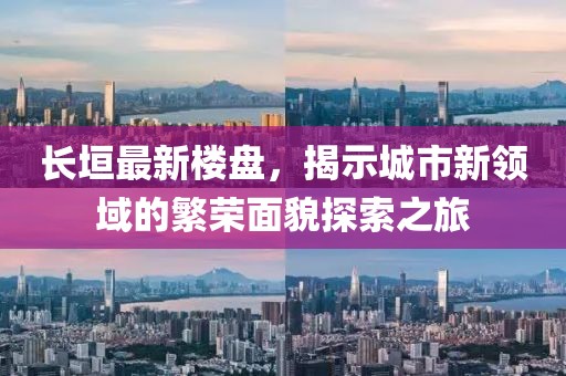 长垣最新楼盘，揭示城市新领域的繁荣面貌探索之旅
