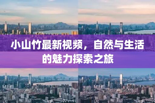 小山竹最新视频，自然与生活的魅力探索之旅