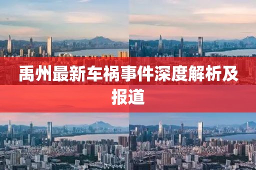 禹州最新车祸事件深度解析及报道
