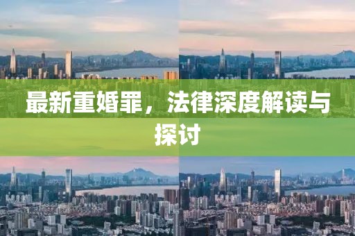 最新重婚罪，法律深度解读与探讨