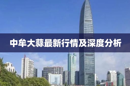 中牟大蒜最新行情及深度分析
