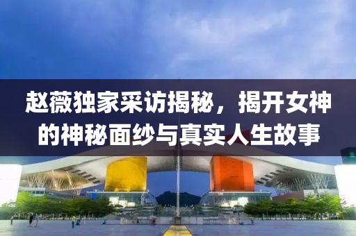 赵薇独家采访揭秘，揭开女神的神秘面纱与真实人生故事