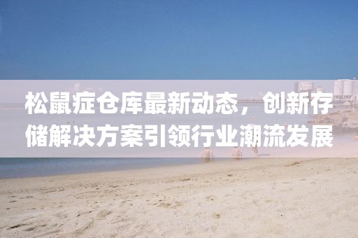 松鼠症仓库最新动态，创新存储解决方案引领行业潮流发展