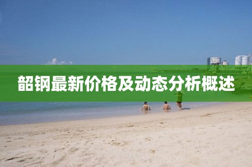 韶钢最新价格及动态分析概述