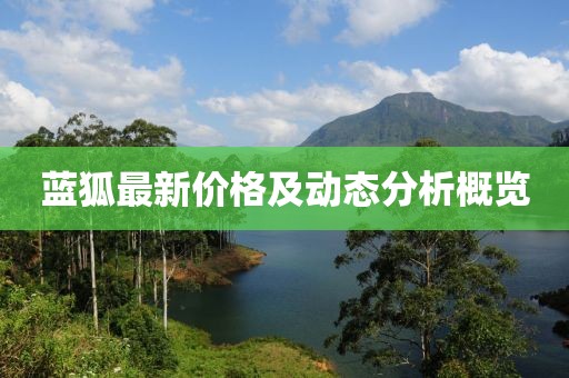 蓝狐最新价格及动态分析概览