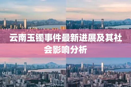 云南玉镯事件最新进展及其社会影响分析