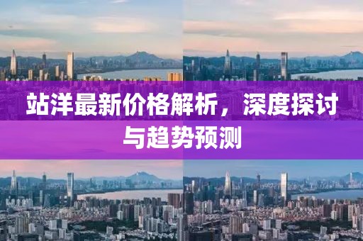 站洋最新价格解析，深度探讨与趋势预测