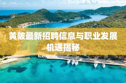 黄陂最新招聘信息与职业发展机遇揭秘