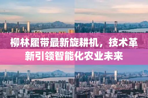 柳林履带最新旋耕机，技术革新引领智能化农业未来