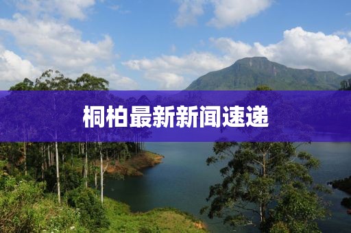 桐柏最新新闻速递