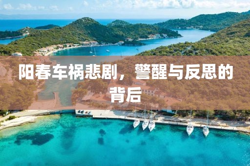阳春车祸悲剧，警醒与反思的背后