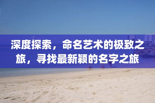 深度探索，命名艺术的极致之旅，寻找最新颖的名字之旅