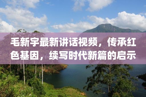 毛新宇最新讲话视频，传承红色基因，续写时代新篇的启示
