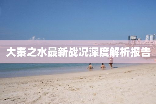 大秦之水最新战况深度解析报告