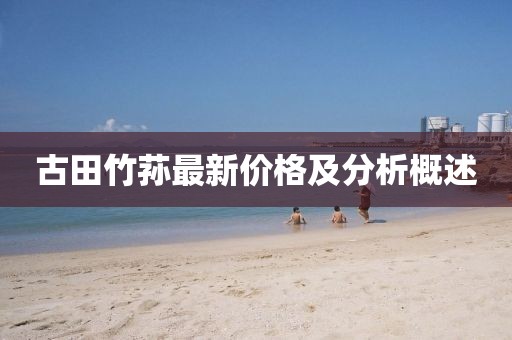 古田竹荪最新价格及分析概述