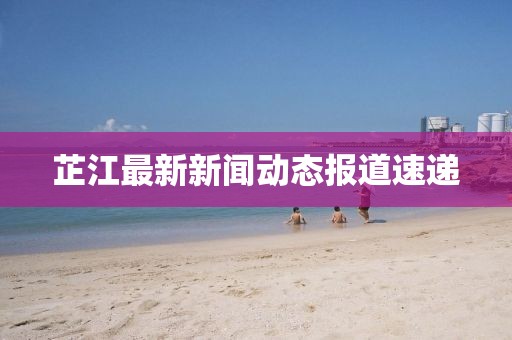 芷江最新新闻动态报道速递