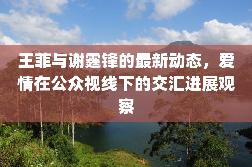 王菲与谢霆锋的最新动态，爱情在公众视线下的交汇进展观察