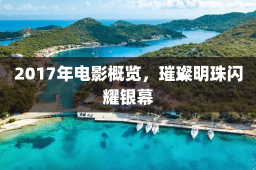 2017年电影概览，璀璨明珠闪耀银幕