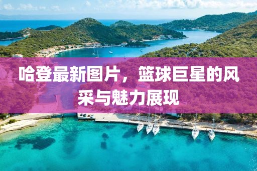 哈登最新图片，篮球巨星的风采与魅力展现