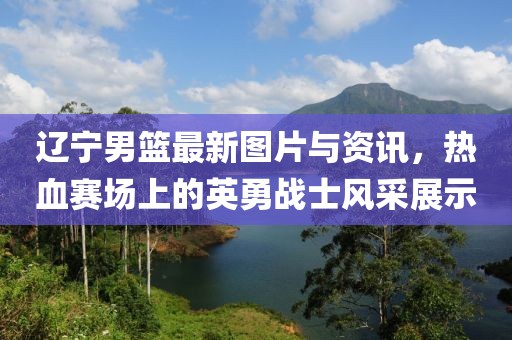 辽宁男篮最新图片与资讯，热血赛场上的英勇战士风采展示